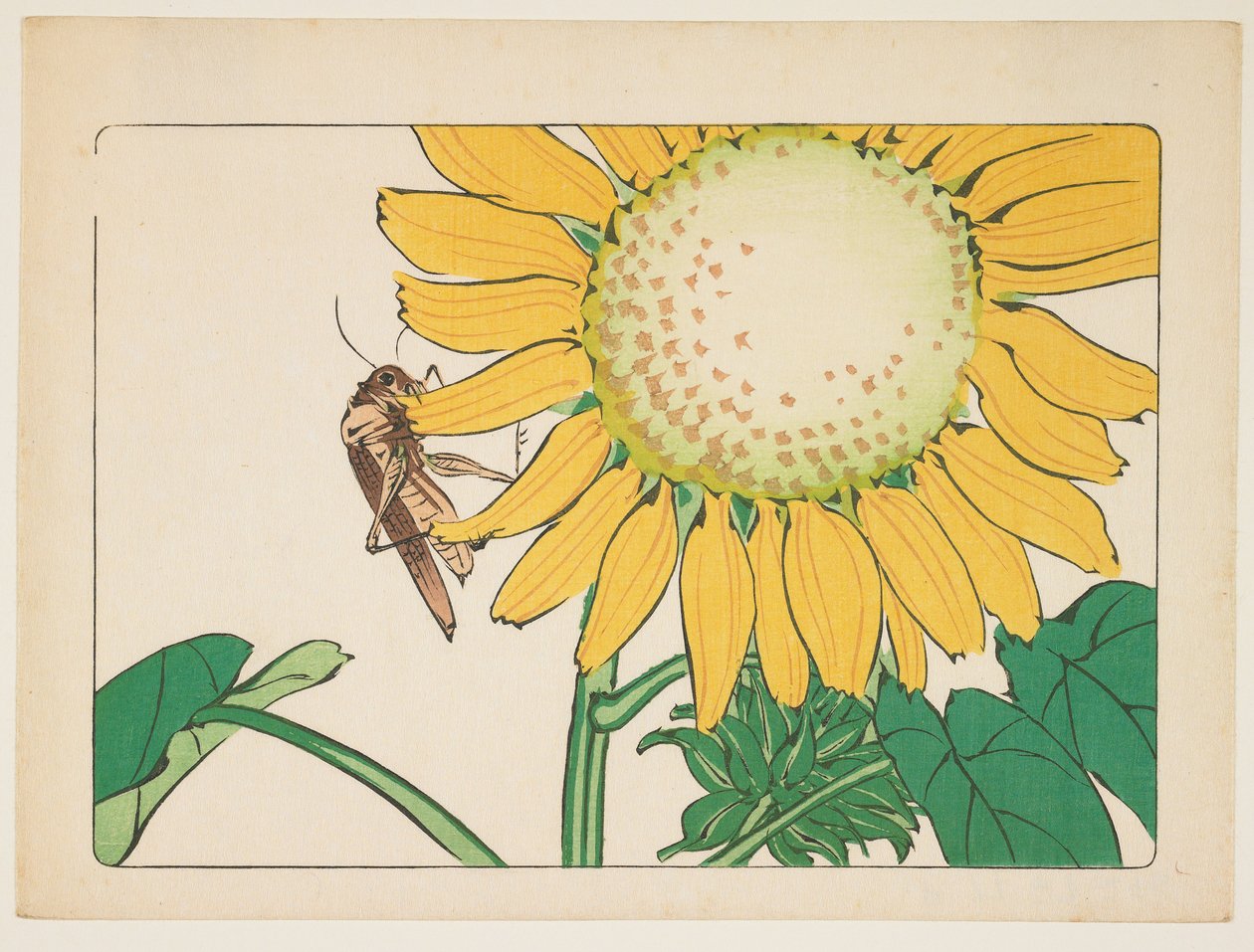 (Gafanhoto e girassol) de Shibata Zeshin