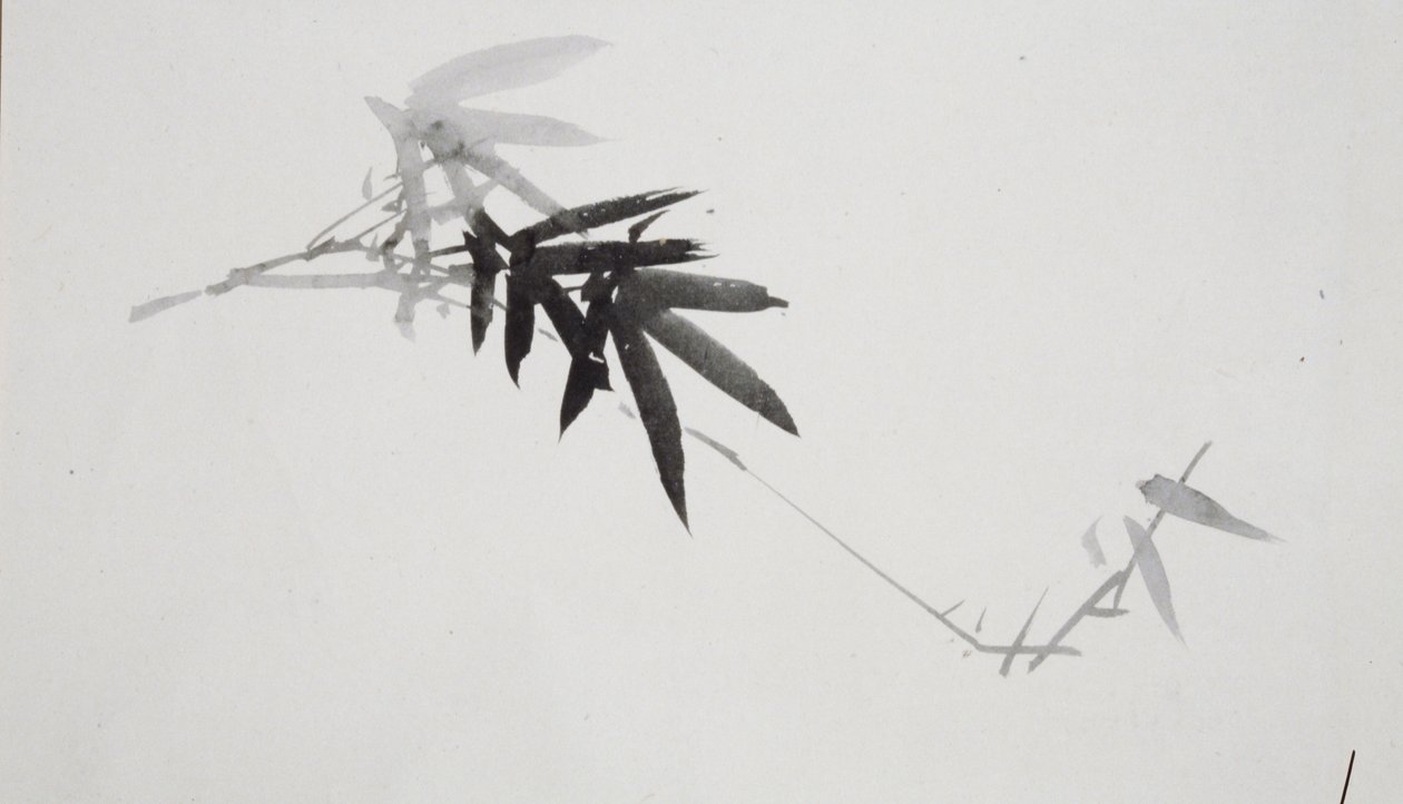 Estudos de flores [um de um par] de Shibata Zeshin