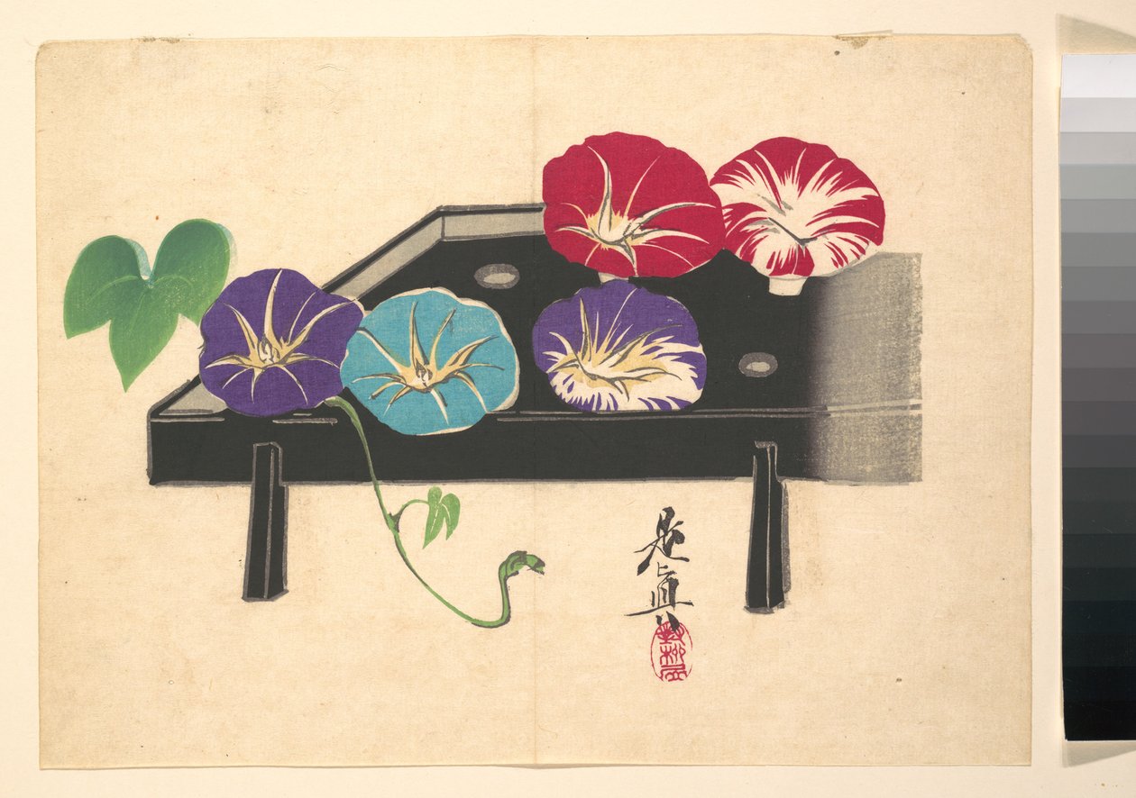 Glórias-da-manhã de Shibata Zeshin