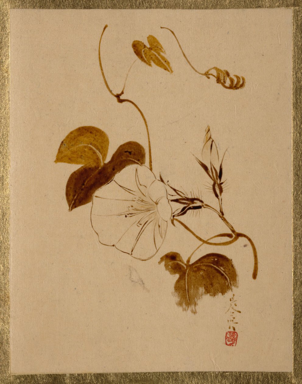 Glória-da-manhã de Shibata Zeshin