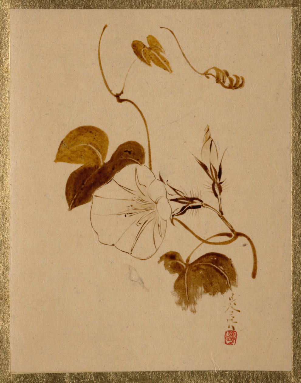 Glória da manhã. de Shibata Zeshin