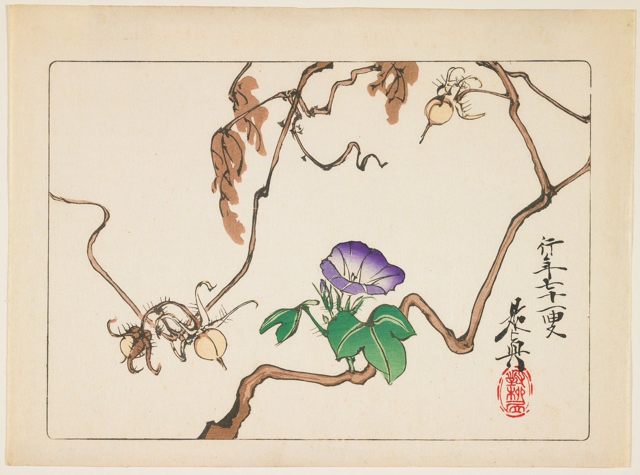 Ramo e sementes de glória-da-manhã de Shibata Zeshin