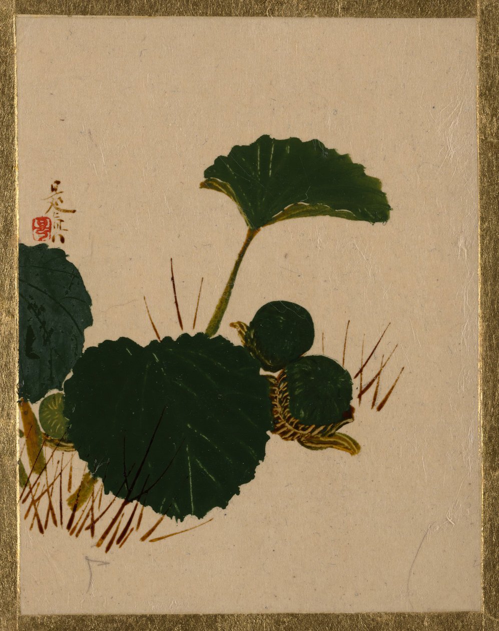 Worm na planta de folhas verdes. de Shibata Zeshin