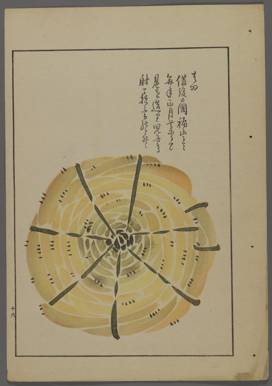 Brinquedos japoneses, de Unai no tomo (A Childs Friends), de Shimizu Seifu, 1891-1923. Cata-vento de corda. de Shimizu Seifu