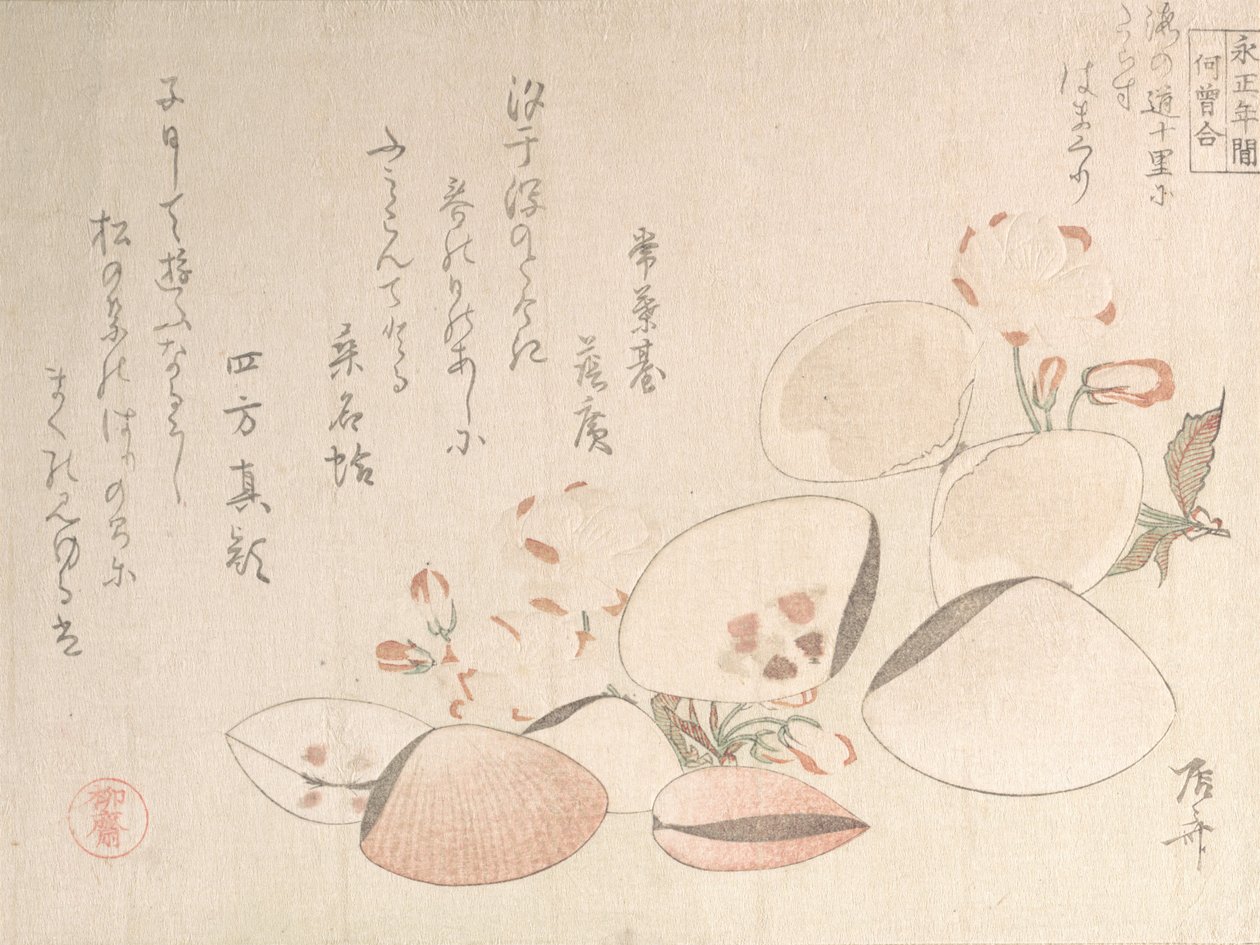 Cerejeiras em flor e conchas, século XIX., século XIX. de Shinsai