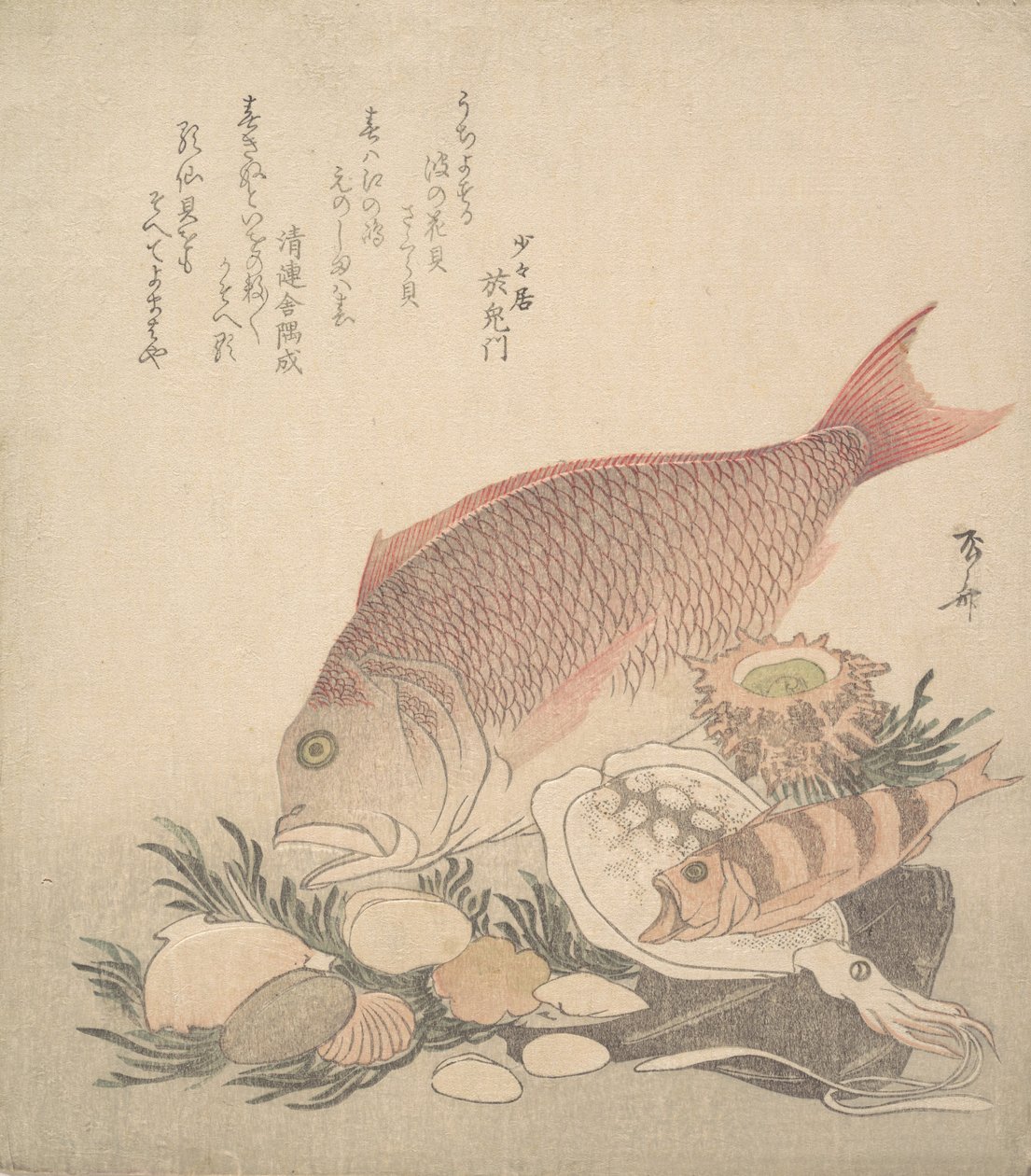Peixes grandes e pequenos nadando entre conchas e musgos no fundo do mar, ca. 1830., c. 1830. de Shinsai