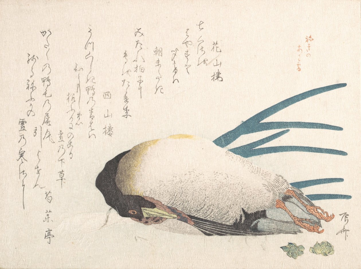Coleção Spring Rain Harusame shu, vol. 1: Pato e cebolinha, 1810s., 1810s. de Shinsai