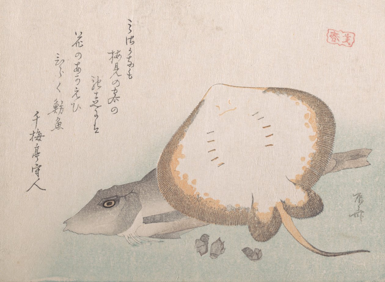 Stingray e Gurnard, provavelmente 1815., provavelmente 1815. de Shinsai
