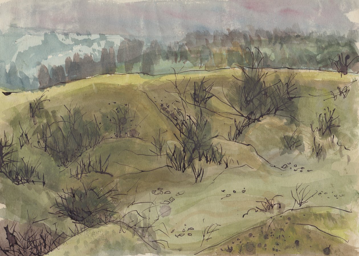 Paisagem com arbustos, Itália, c1950. de Shirley Markham