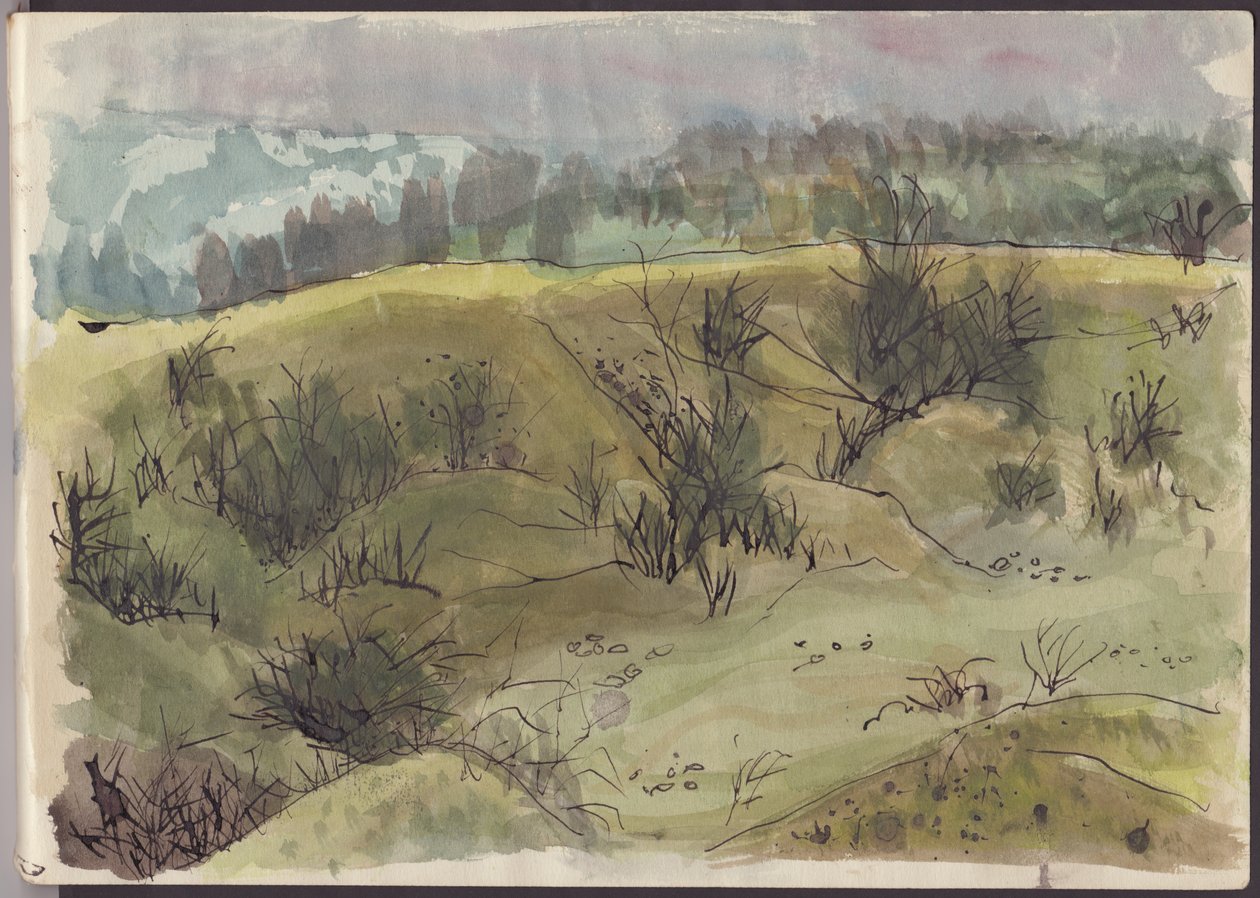 Paisagem com arbustos, Itália, c1950. de Shirley Markham