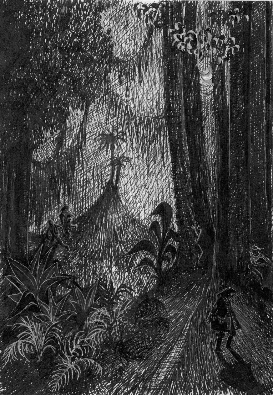 Pirata na floresta tropical, 1953. de Shirley Markham