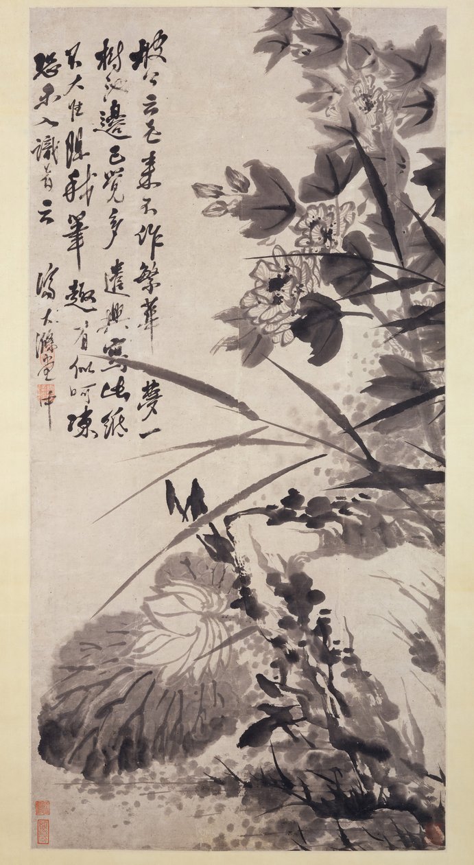 Hibiscus, Lotus e Rock, ca. 1705-7. de Shitao