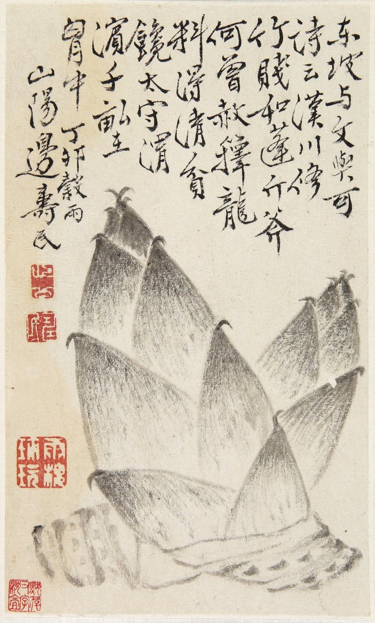 Brotos de bambu, de um álbum de legumes (tinta sobre papel) de Shou min Pien