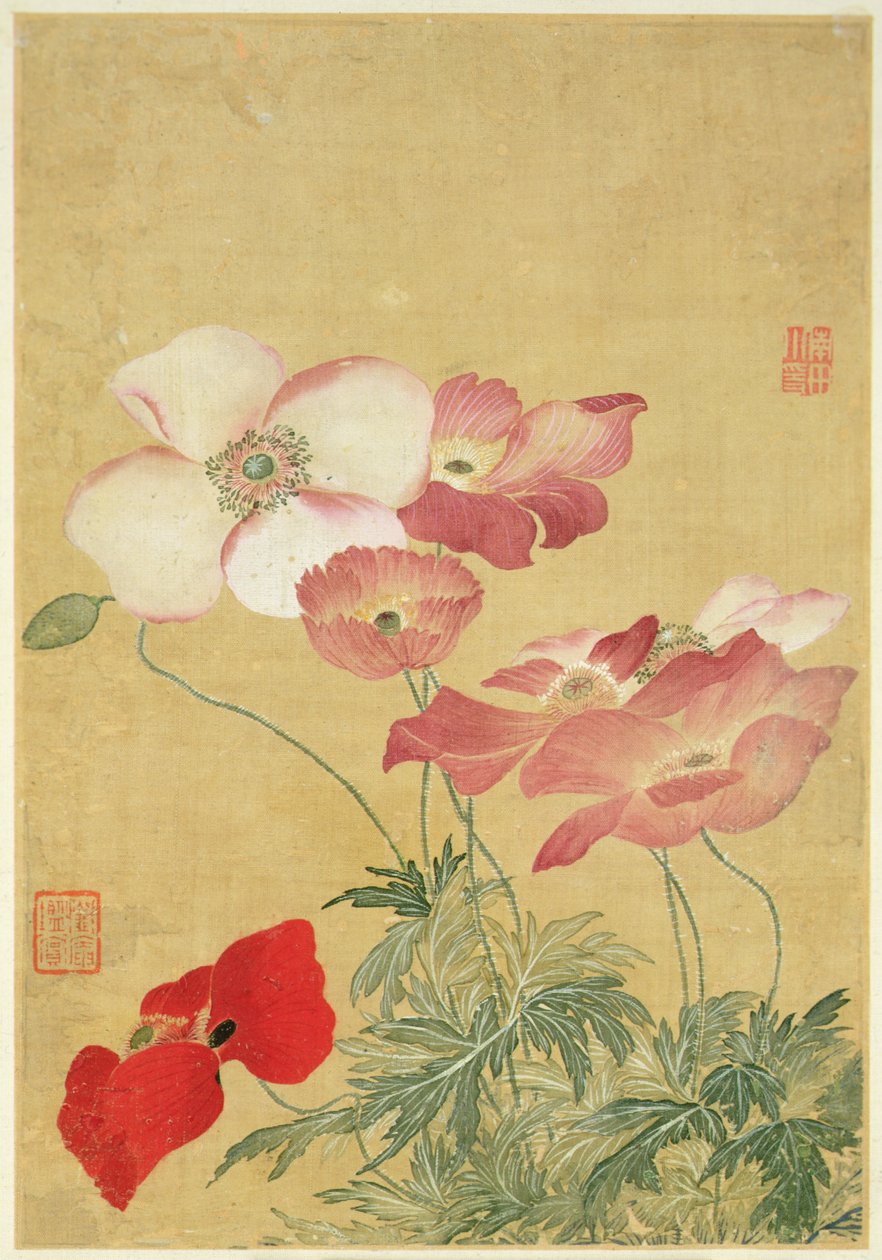 Imagem do Álbum de Pinturas de Flores (aquarela) de Shouping Yun