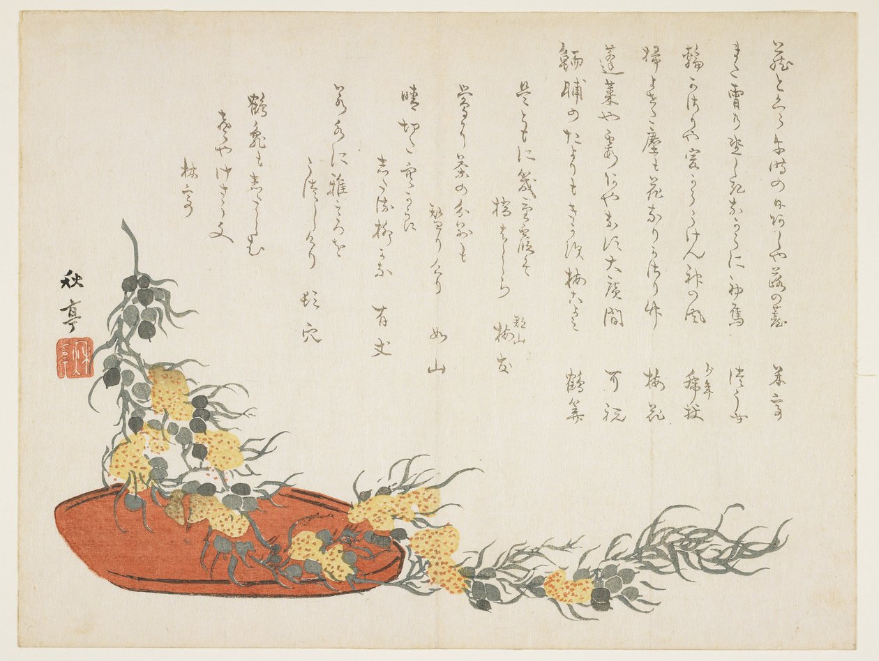 (Flâmula da videira), 1854-1859 de Shûtei Tanaka