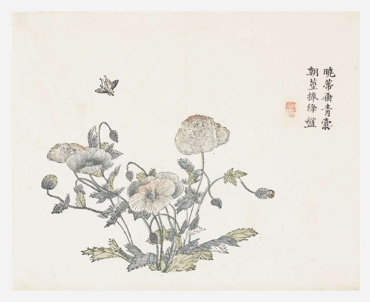 Jardim de Sementes de Mostarda de Shun Kung Chien