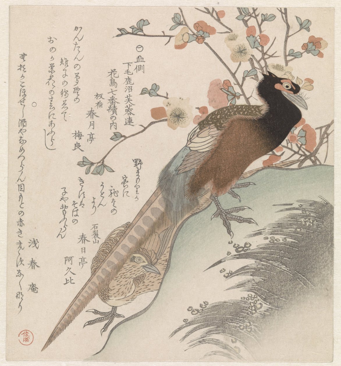 Faisões para um ramo de flor Sete imagens de pássaros e flores para a Sociedade de Poesia Fuyôren de Kanuma da Província de Shimotsuke (título da série) Yamagawa Shimotsuke Kanuma Fuyôren kachô shichiban tsuzuki no uchi (título da série no objeto) de Shunman