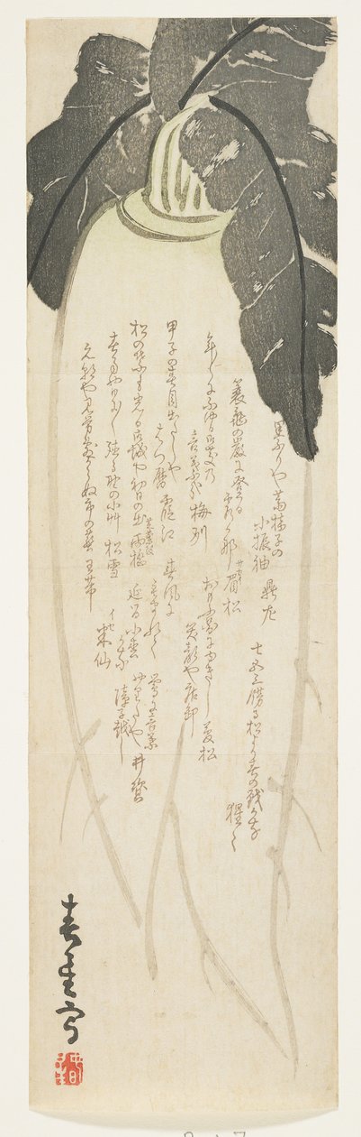 Rabanete Daikon, janeiro de 1864 (impressão em xilogravura a cores) de Shunsei