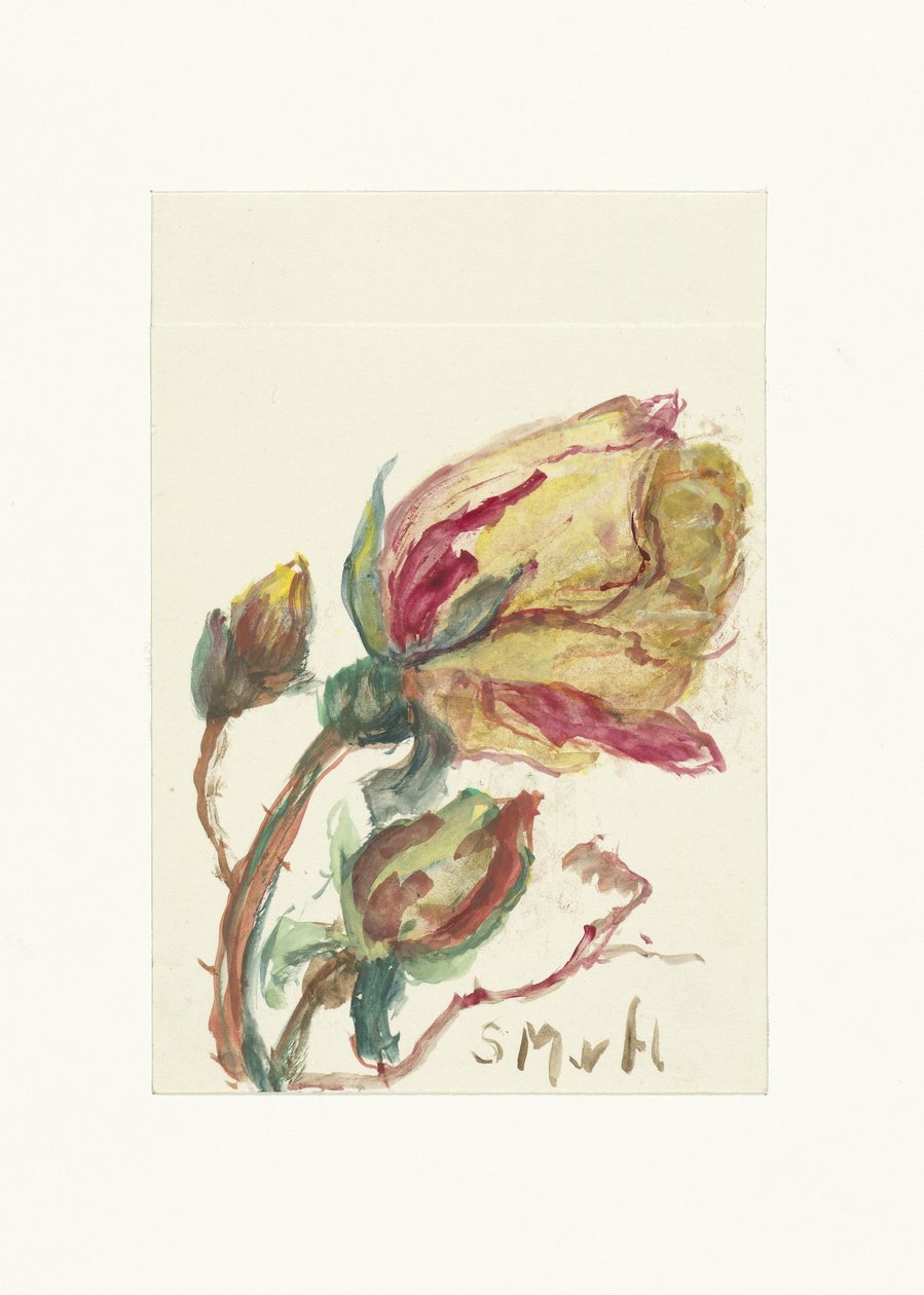 cangurus de Sientje Mesdag van Houten