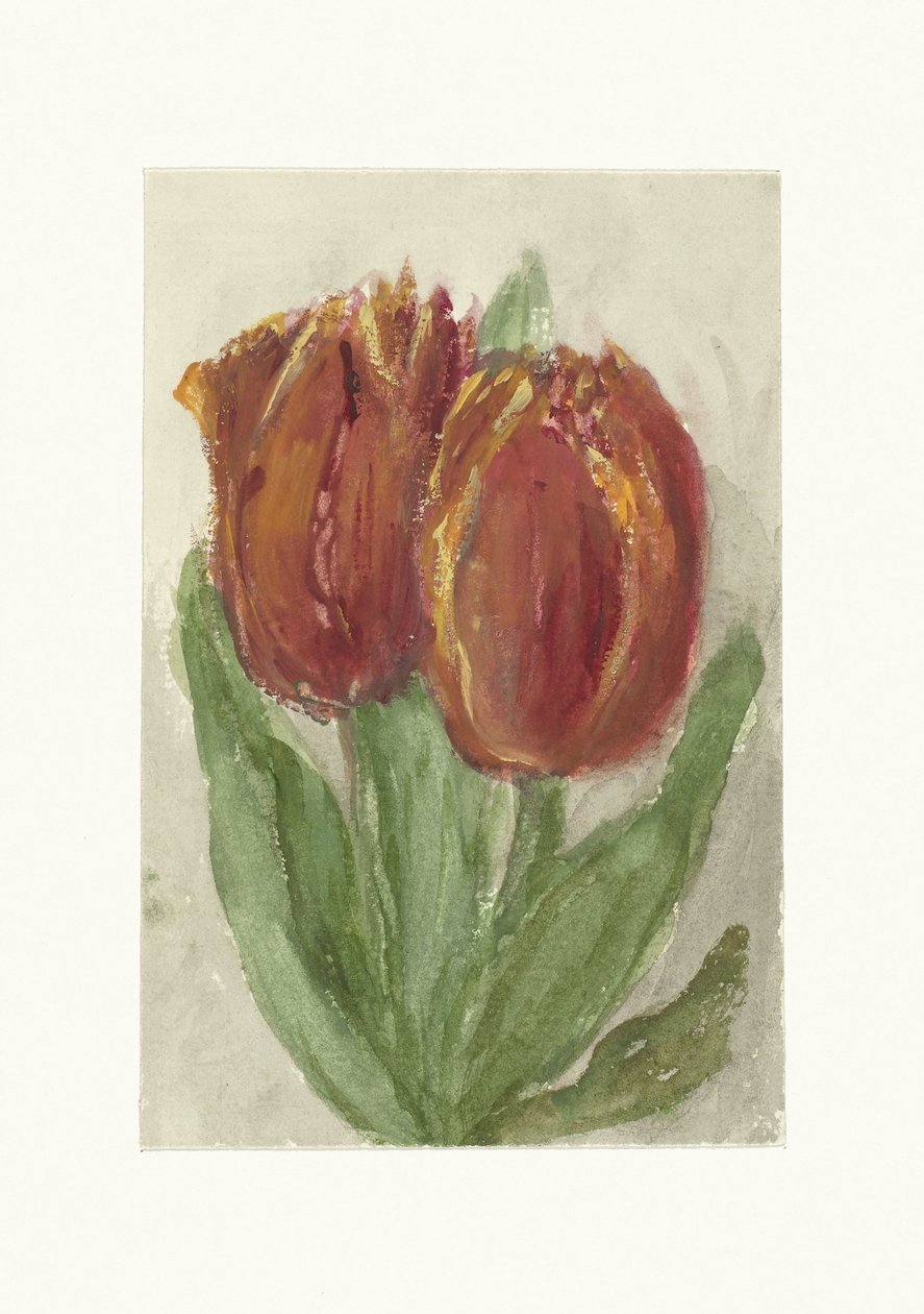 Duas tulipas vermelhas de Sientje Mesdag van Houten