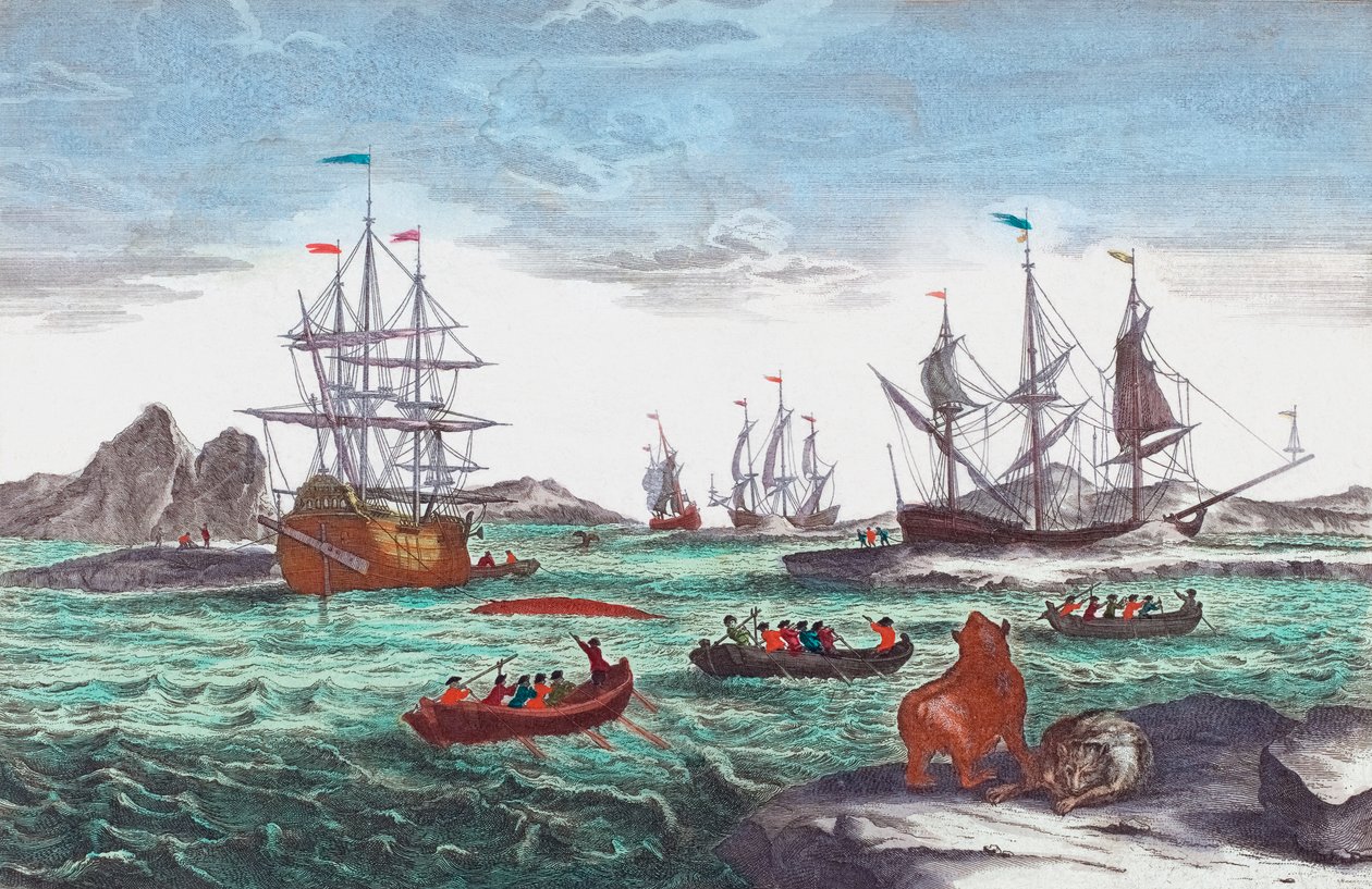 Frota baleeira da Groenlândia no século 18 (gravura) de Sieuwert van der Meulen