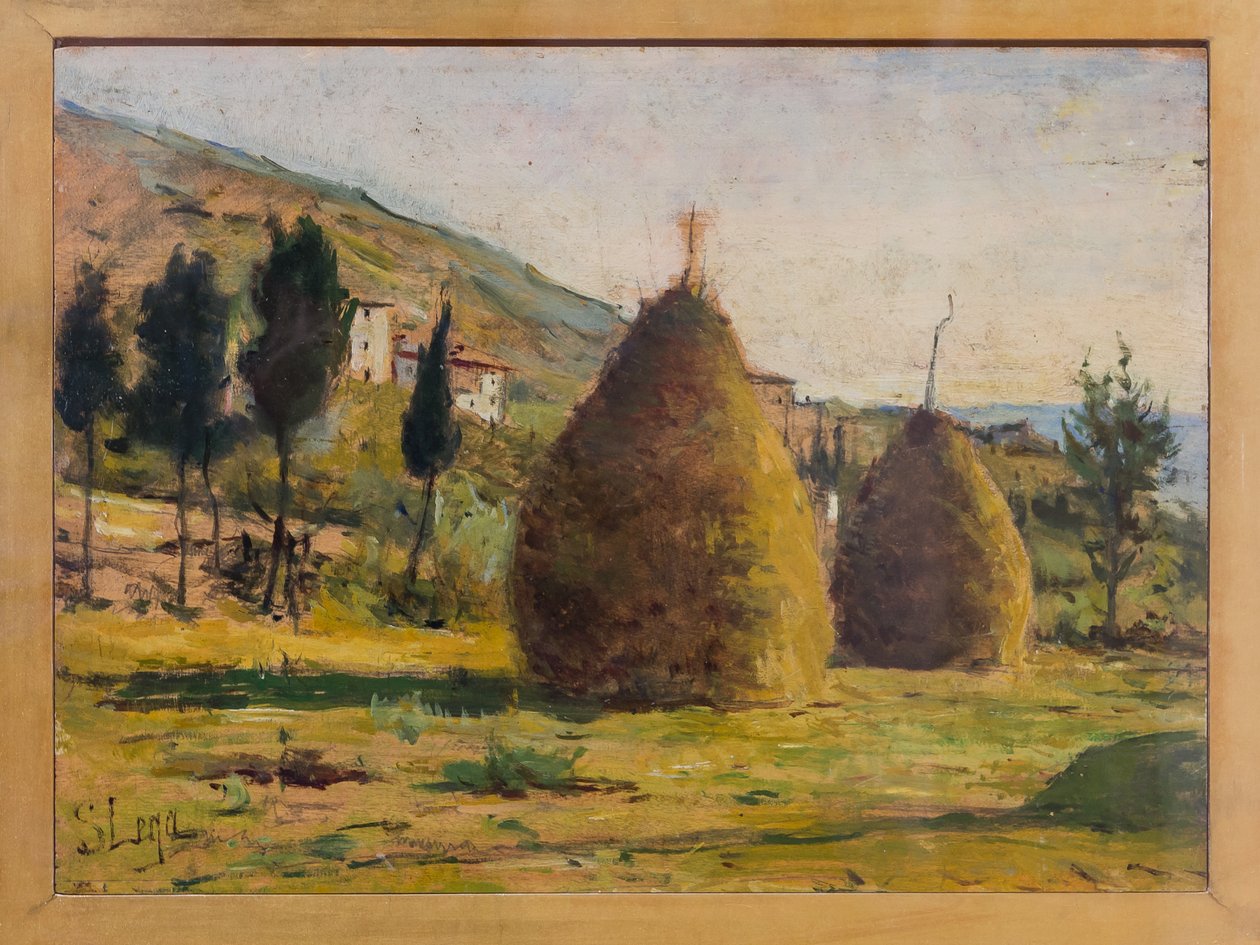 Haystacks in the Sun, c.1890 (óleo a bordo) de Silvestro Lega