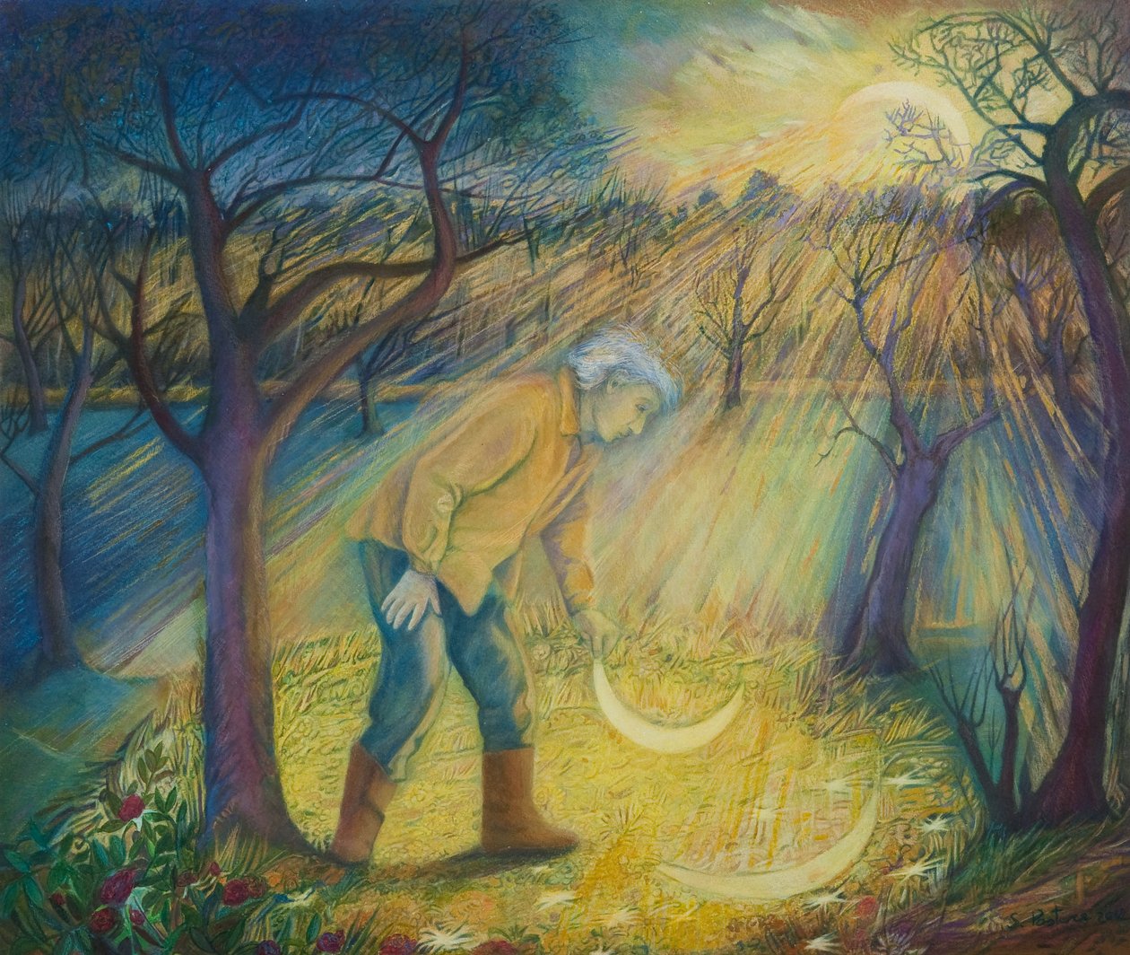 Ontem à noite no pomar, 2012 (mídia mista) de Silvia Pastore