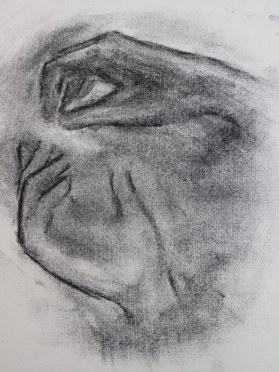 A promessa de Silvia da Vinci