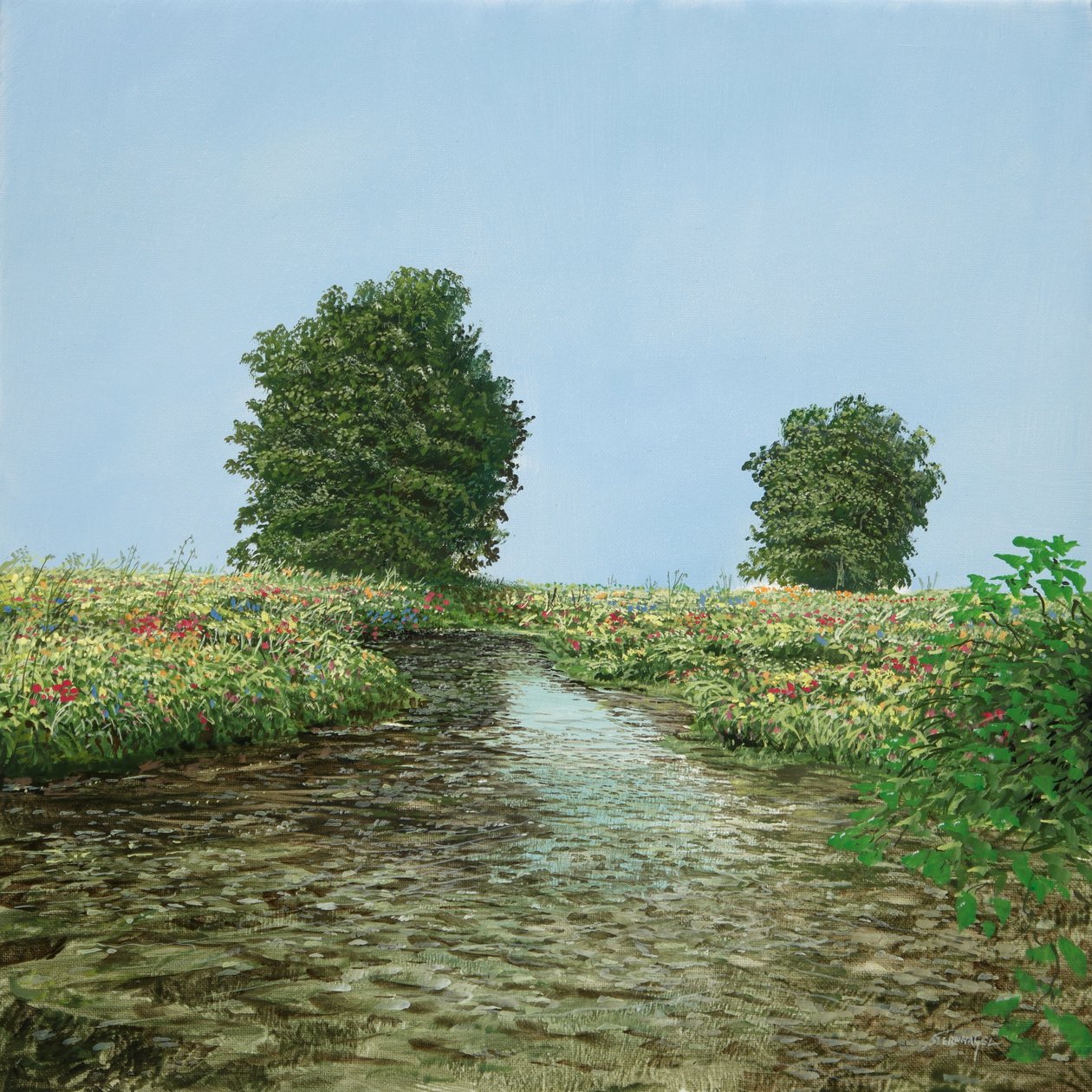 BBB-Árvore-Bach-Picture