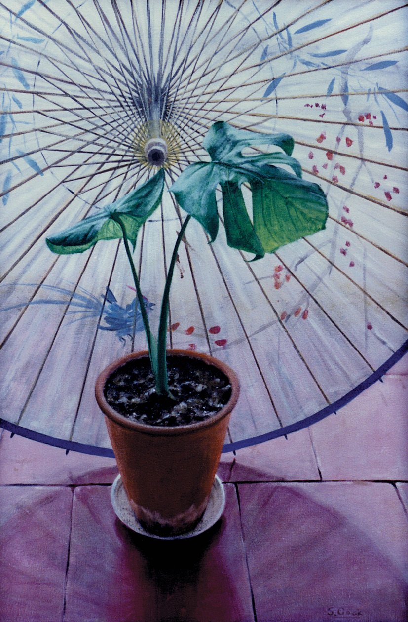 Guarda-chuva chinês de Simon Cook