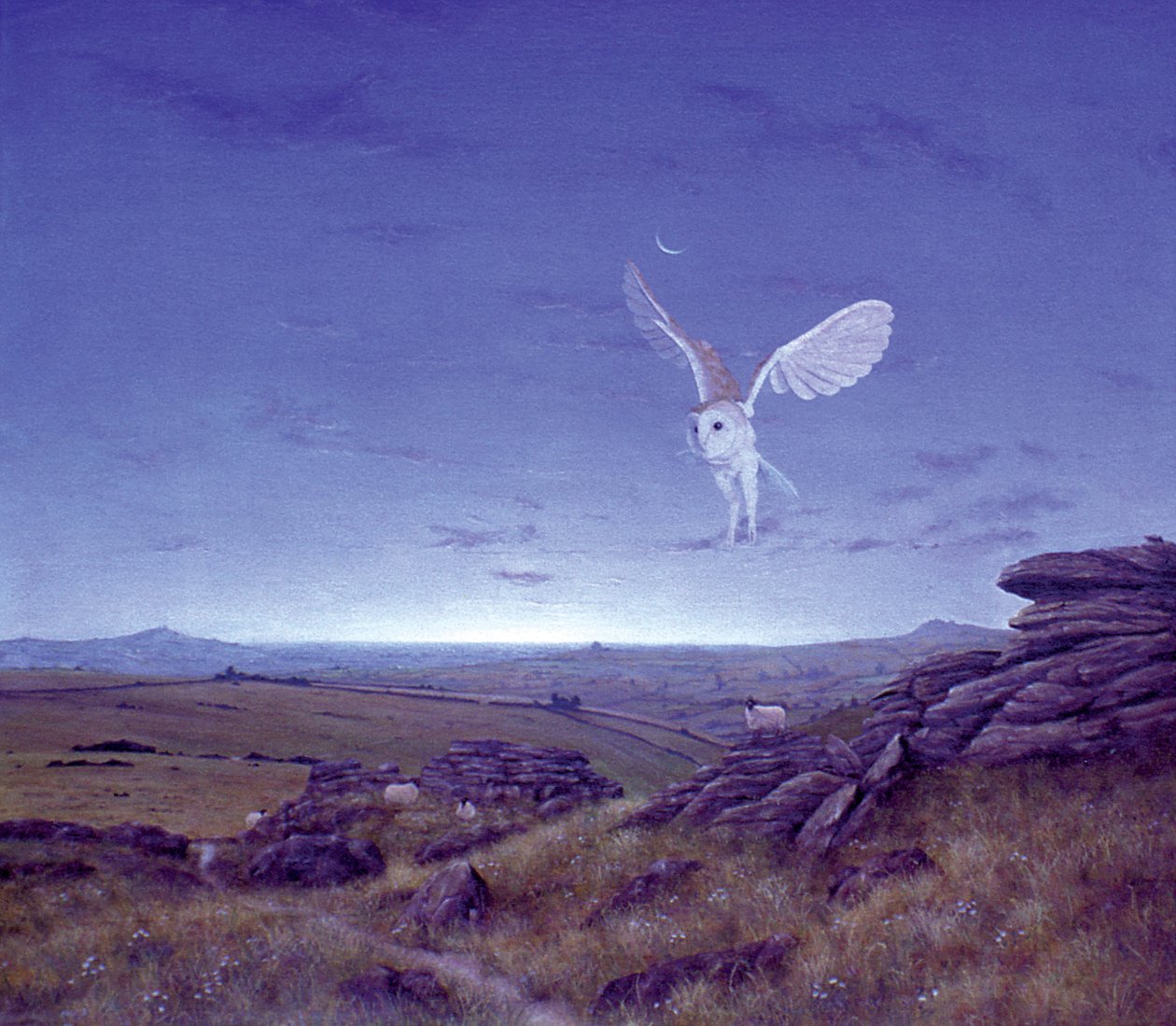 Os mouros de Simon Cook