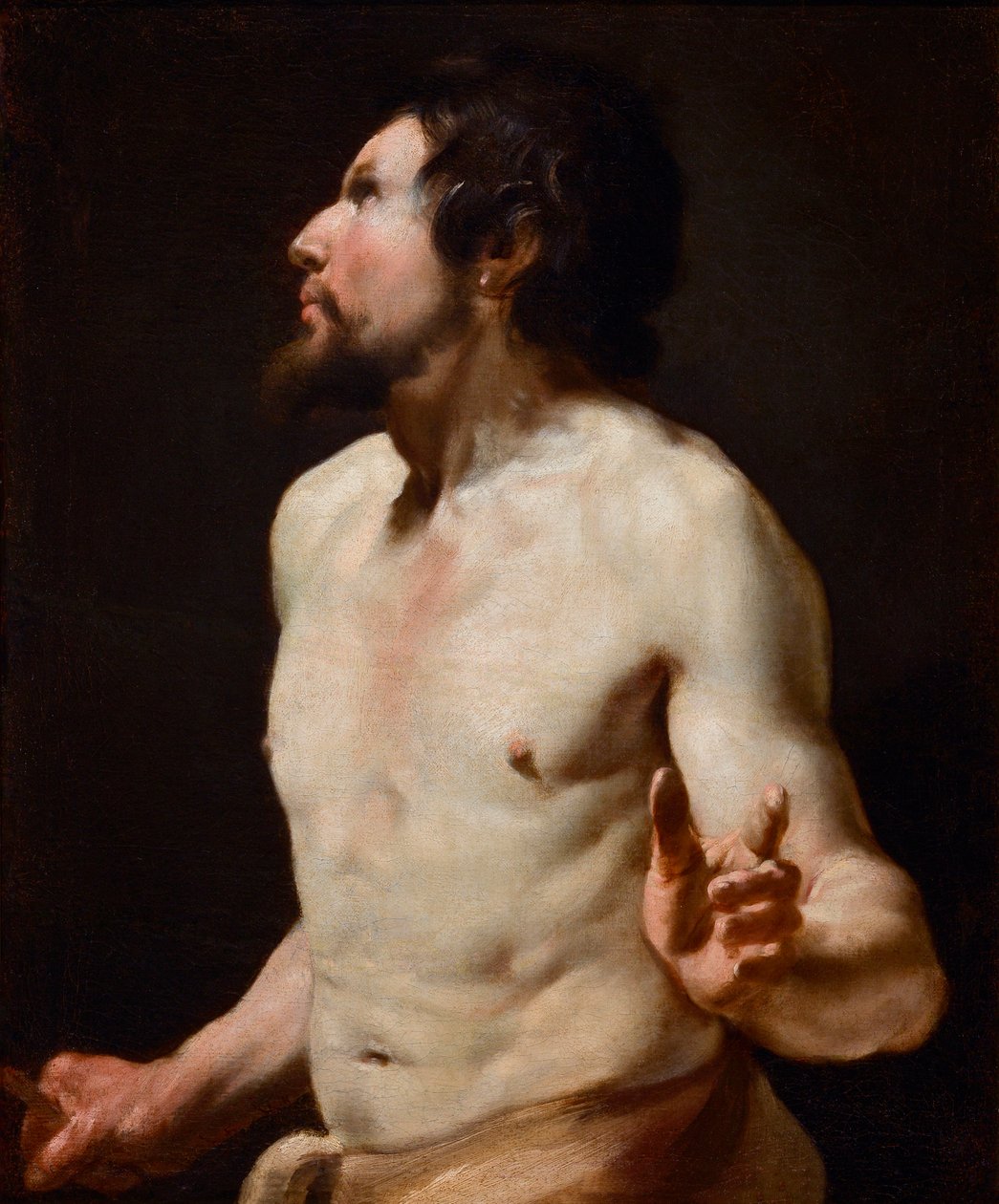Estudo da Pintura do tronco da escola de Simon Vouet (1590-1649) (pintura) de Simon (circle of) Vouet