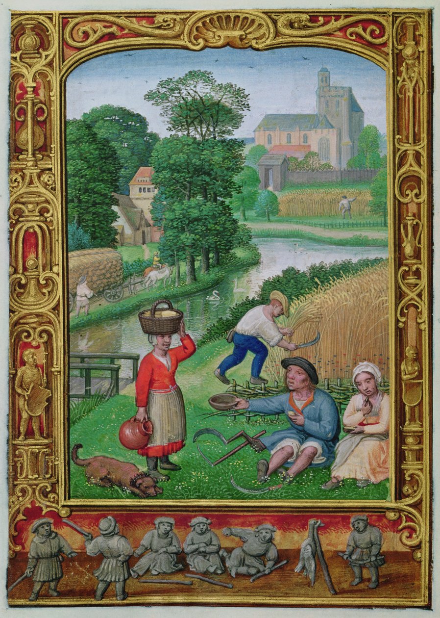 Adicionar 24098 f.25v agosto: Colheita perto de um rio, de um Livro de Horas ou do Livro de Golfe, c.1520-30 (velino) de Simon (workshop of) Bening