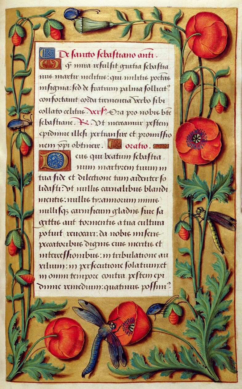 Adicionar 18855 f.103 Papoilas e libélulas, de um Livro de Horas, c.1540 (vellum) de Simon Bening