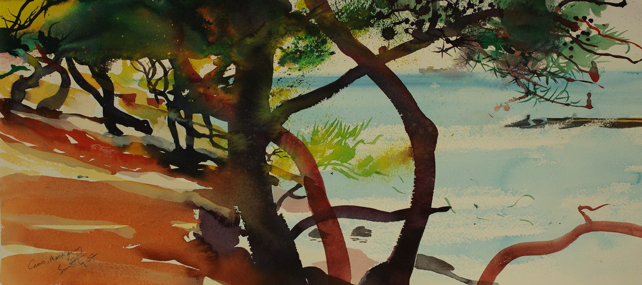 Caro, Martigues, 2007 (watercolour) de Simon Fletcher