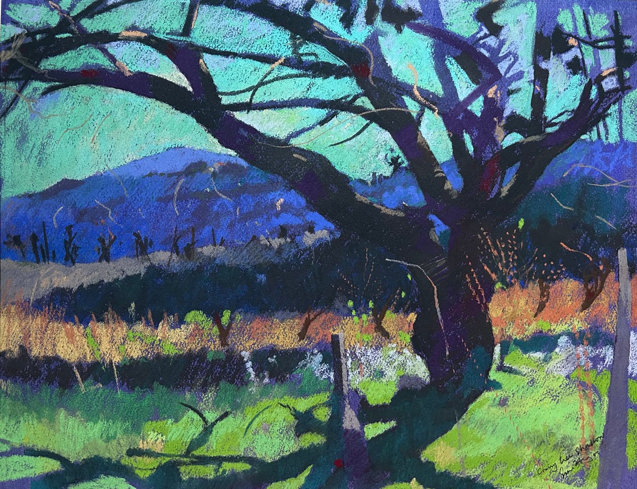 Sombra de cerejeira, 2000 (pastel) de Simon Fletcher