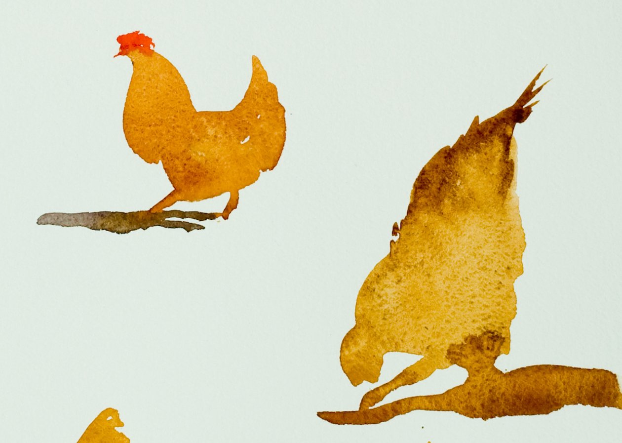 Galinhas, uma a coçar, 2013 (aguarela) de Simon Fletcher