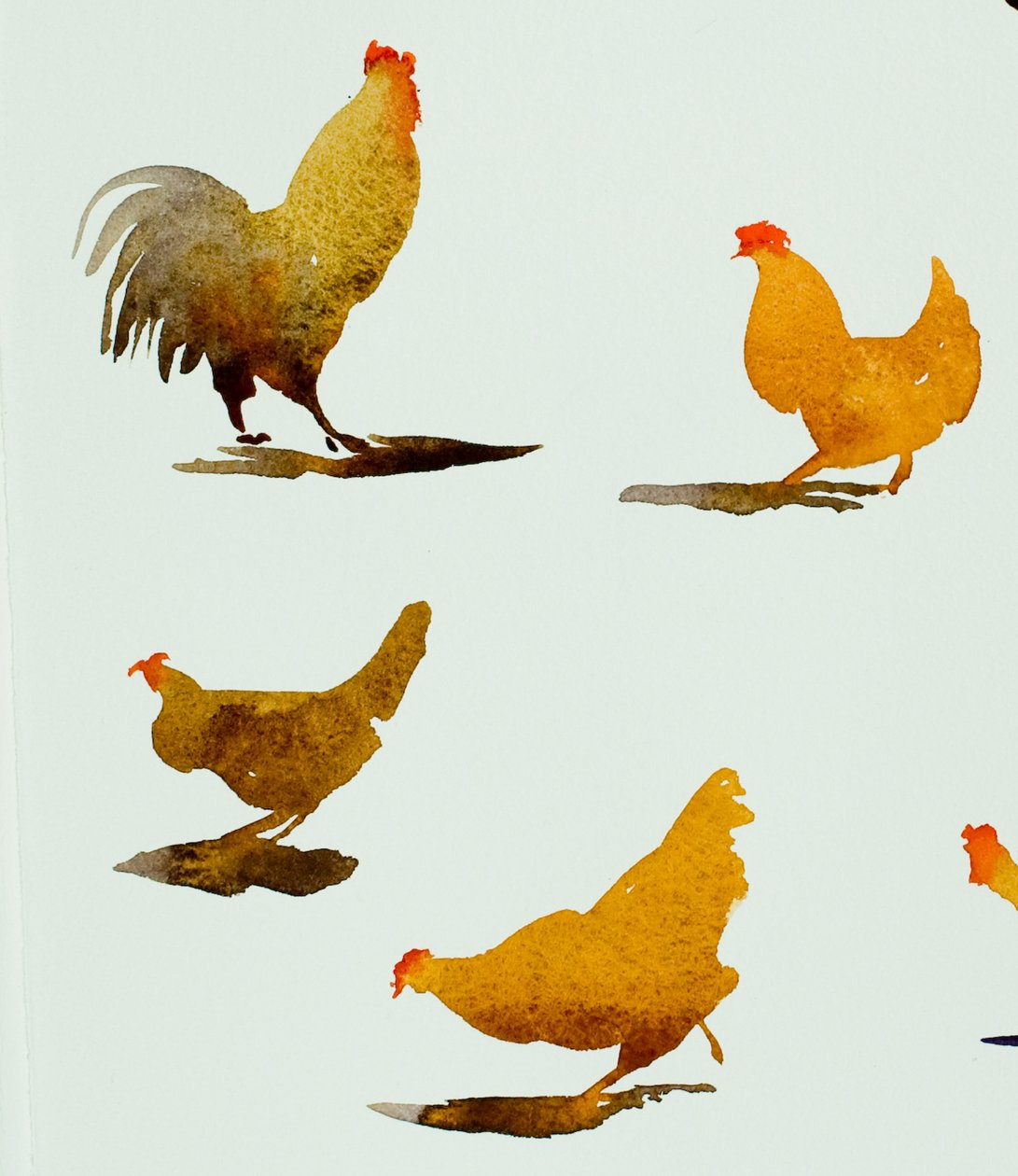 Galo e três galinhas, 2013 (aguarela) de Simon Fletcher