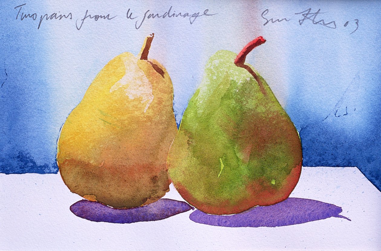 Duas Peras do Jardim, 2003 (aguarela sobre papel) de Simon Fletcher
