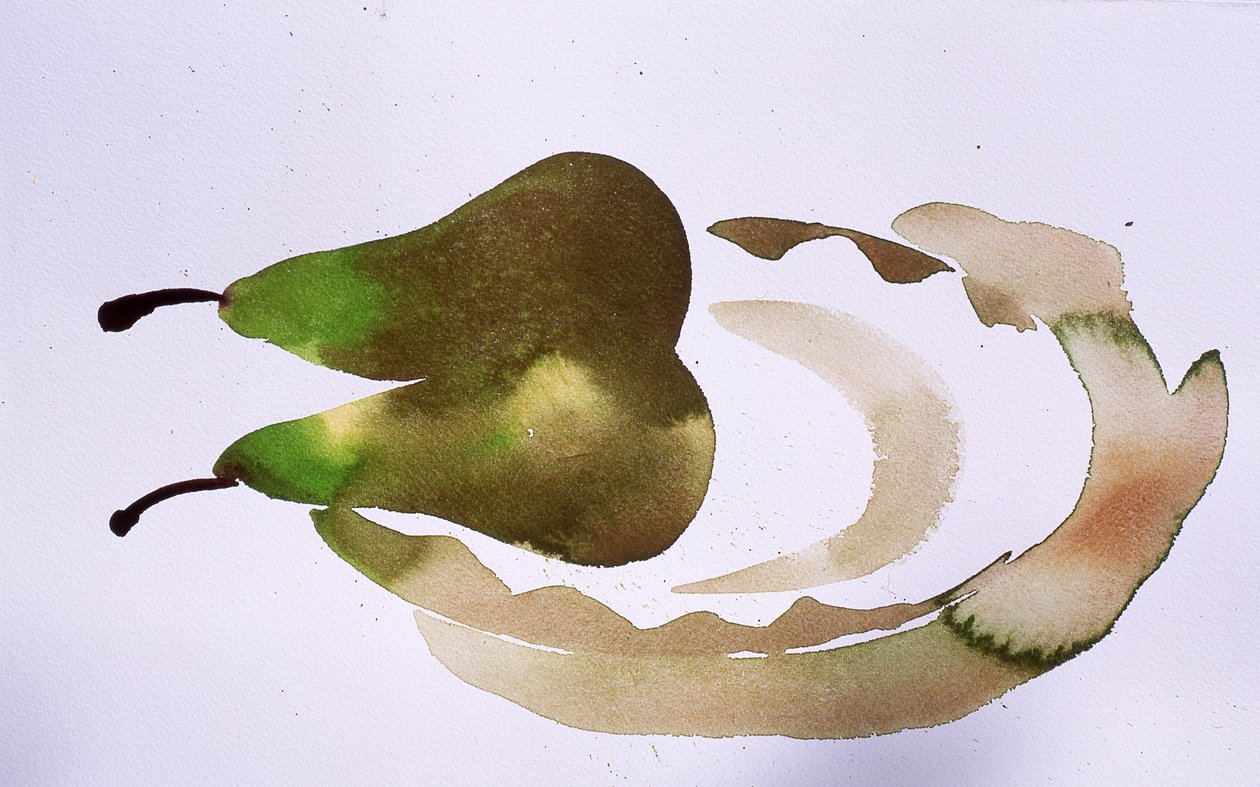 Duas pêras num prato, 2010 (aguarela) de Simon Fletcher