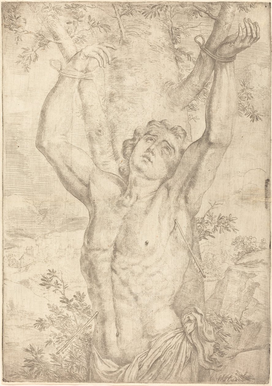 São Sebastião de Simon Francois