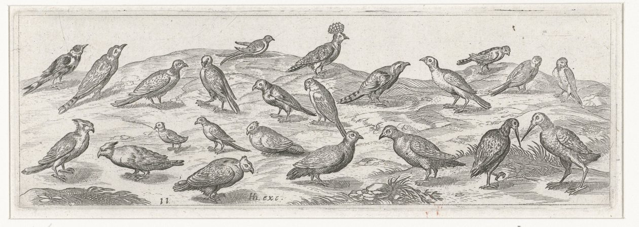 Paisagem com diferentes tipos de pássaros. Pássaros e insetos (título da série) de Simon Frisius