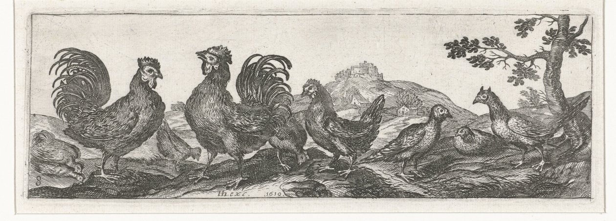 Aves Pássaros e insetos (título da série) de Simon Frisius
