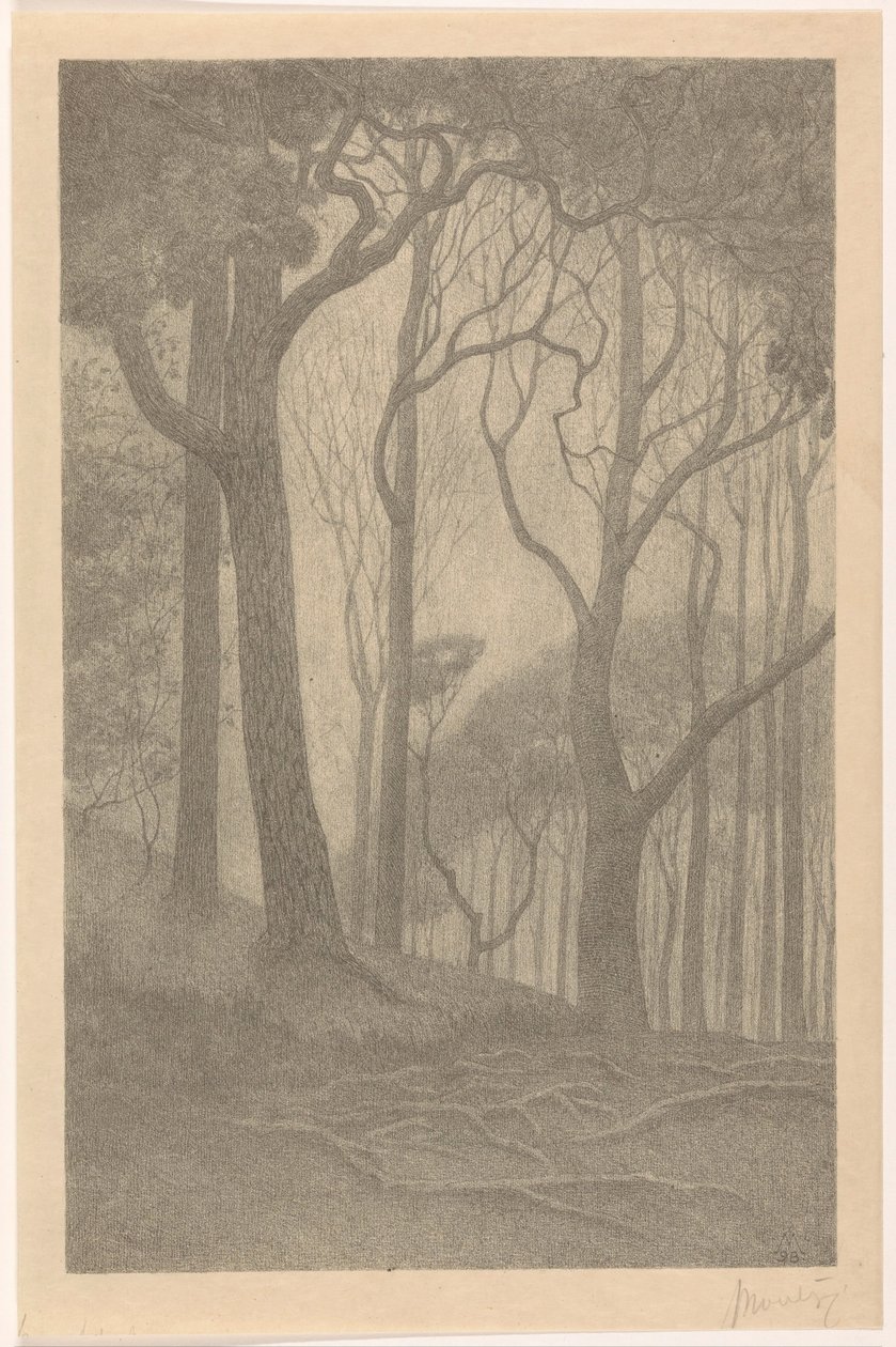 Bomen (título original) de Simon Moulijn (signed by artist)