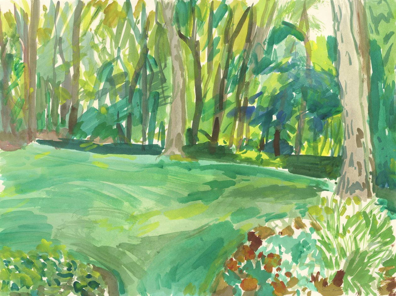 Jardim e zona húmida, 2018 (aguarela sobre papel) de Simon Neville