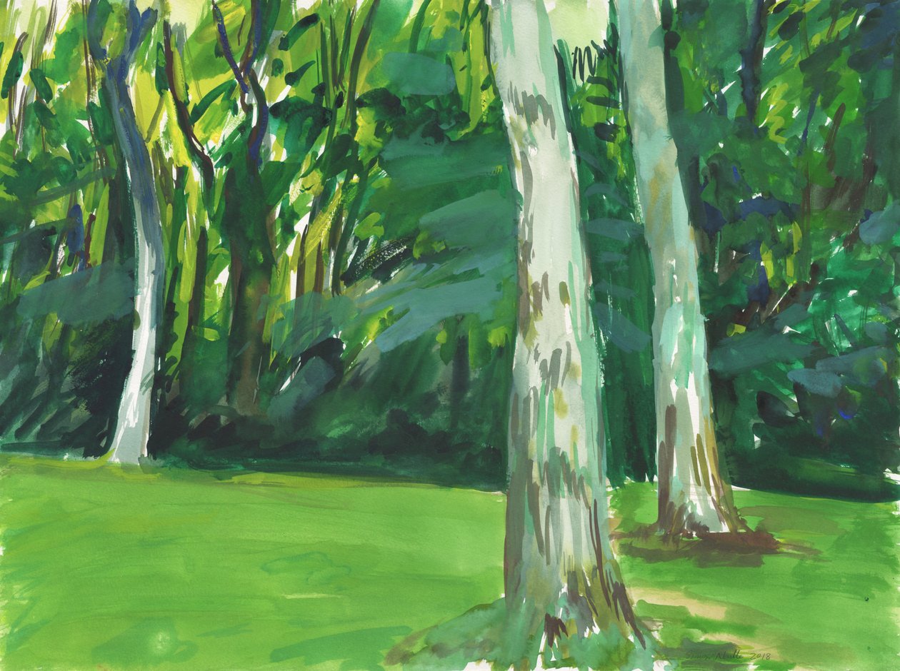 Jardim e zona húmida, 2018 (aguarela sobre papel) de Simon Neville