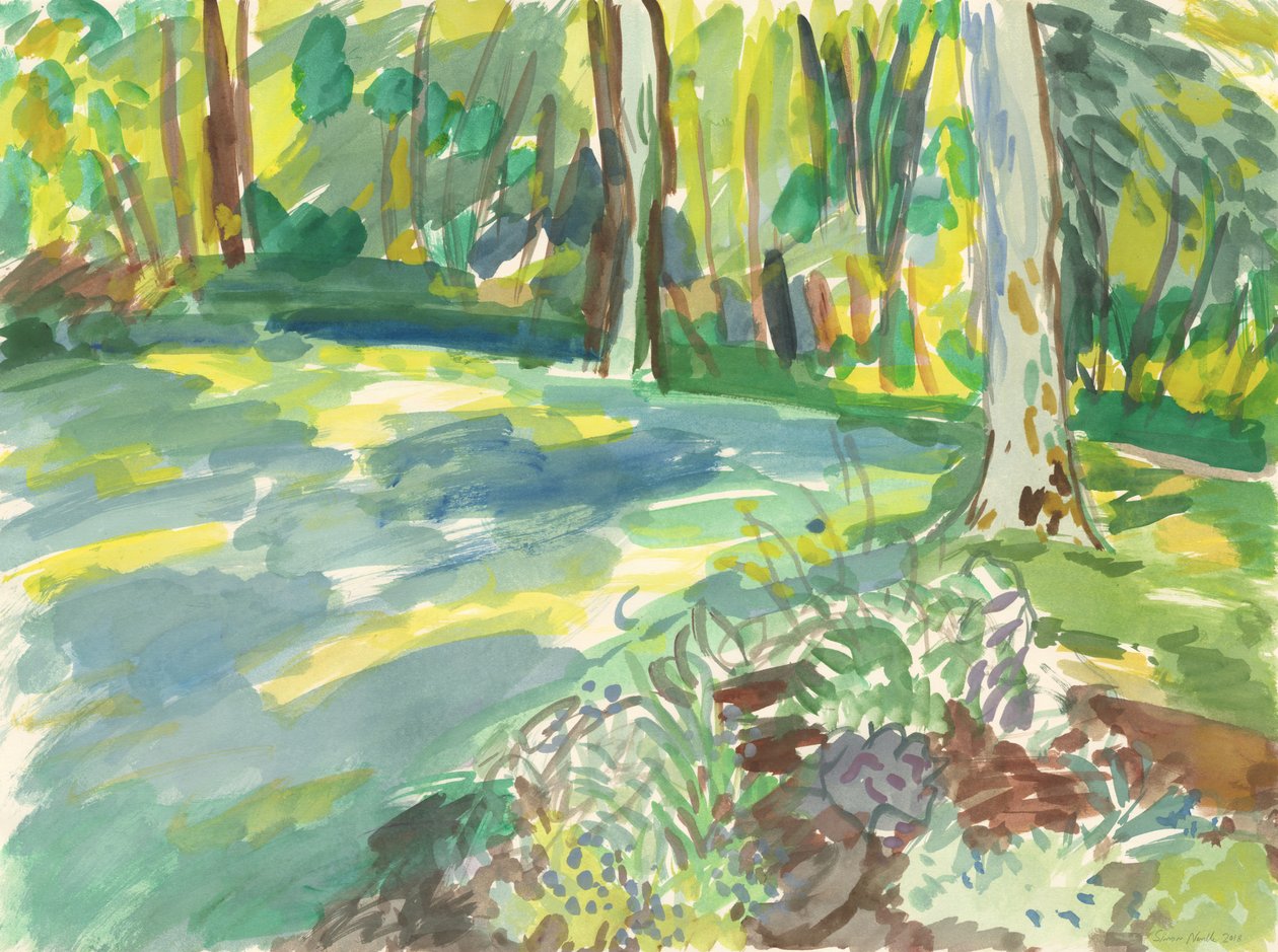 Jardim e zona húmida, 2018 (aguarela sobre papel) de Simon Neville