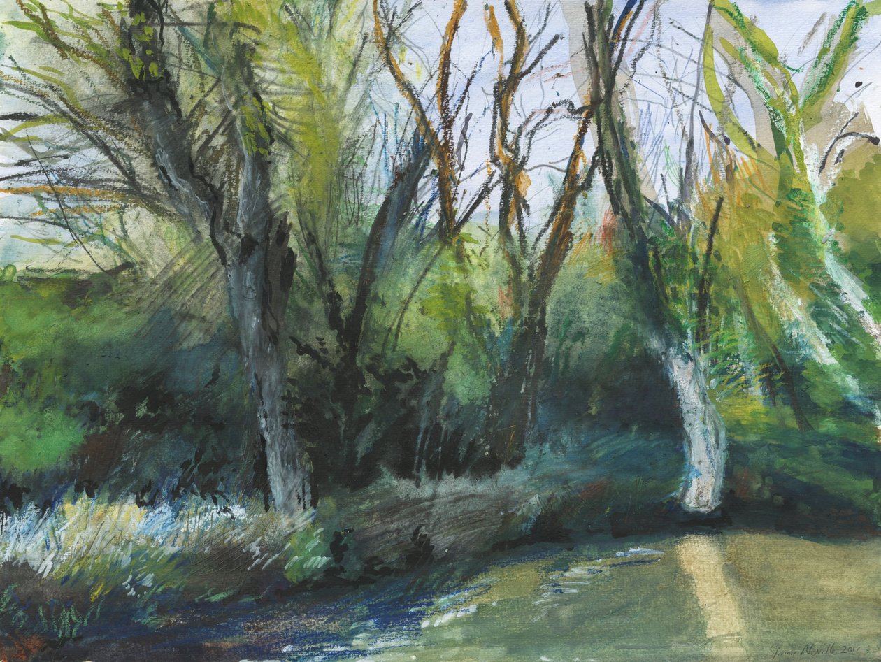 Latchmere Brook, Ham Common (aguarela, pastel de óleo, tinta, acrílico e grafite sobre papel) de Simon Neville
