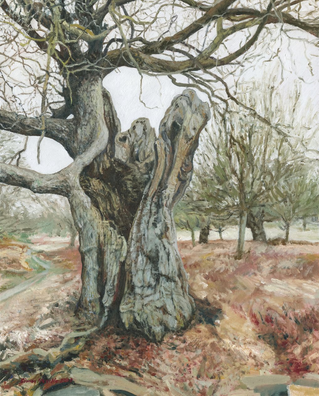 Árvore velha, Richmond Park, 2018 (óleo sobre linho) de Simon Neville