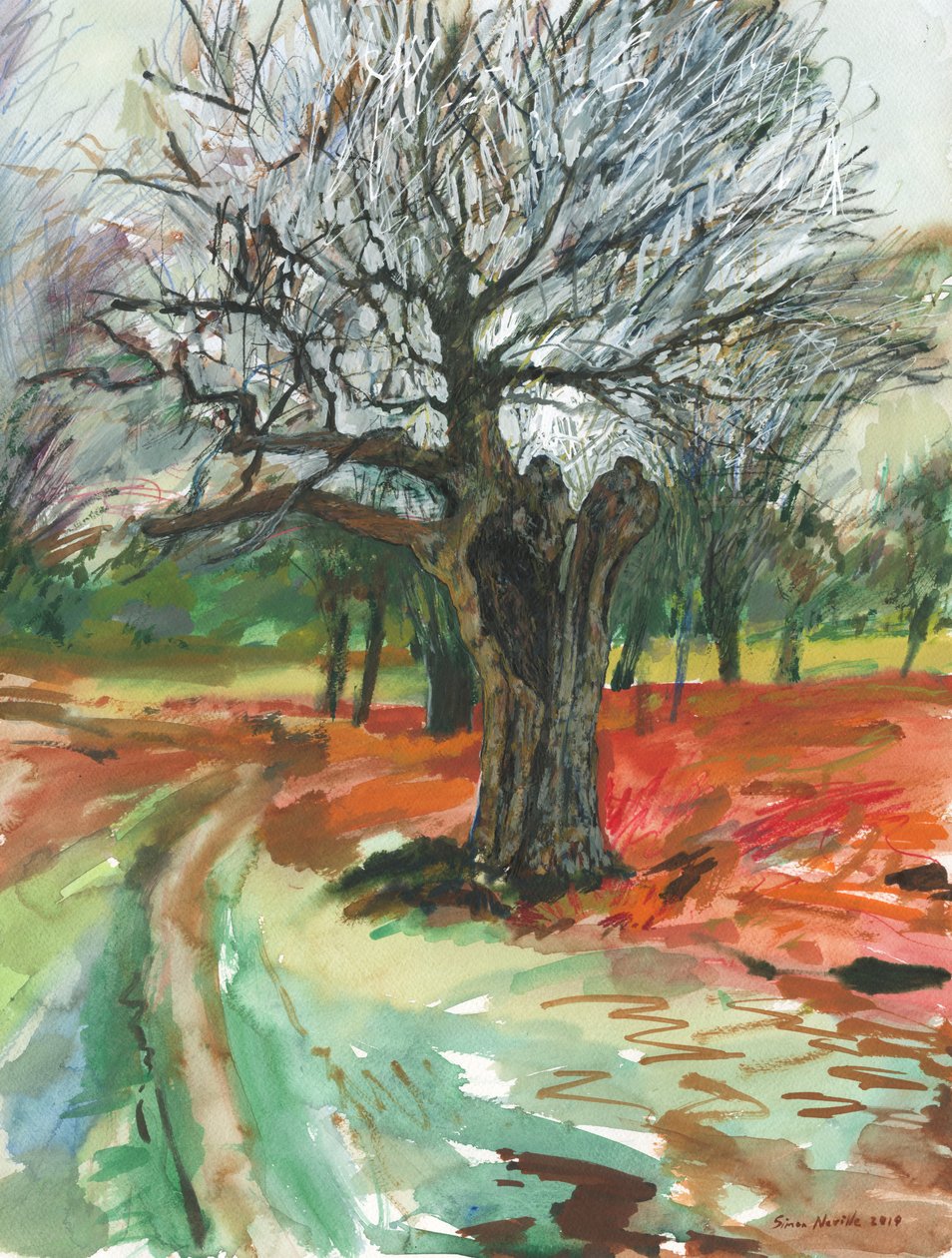 Árvore velha, Richmond Park, 2019 (lápis aguarela e marcador de tinta acrílica sobre papel) de Simon Neville